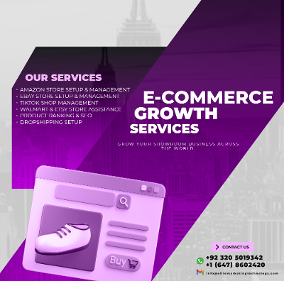 Smart Online Solutions | Web Development & Lead Generation Services
